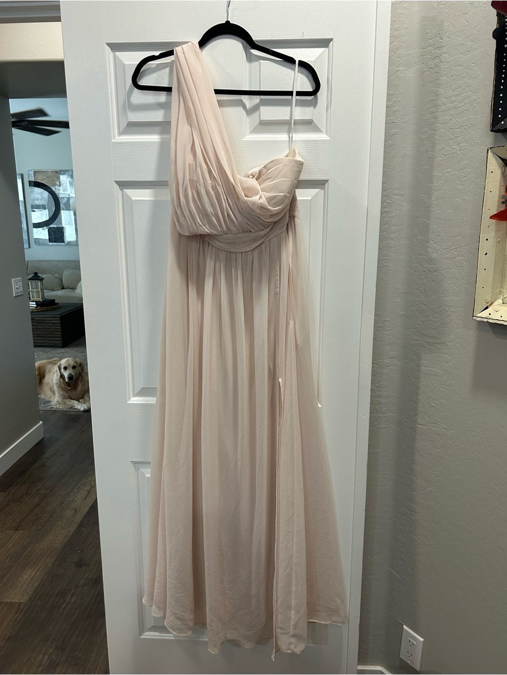 Birdy Grey Grace convertible Chiffon Dress in Champagne (blush) - Picture 2 of 4